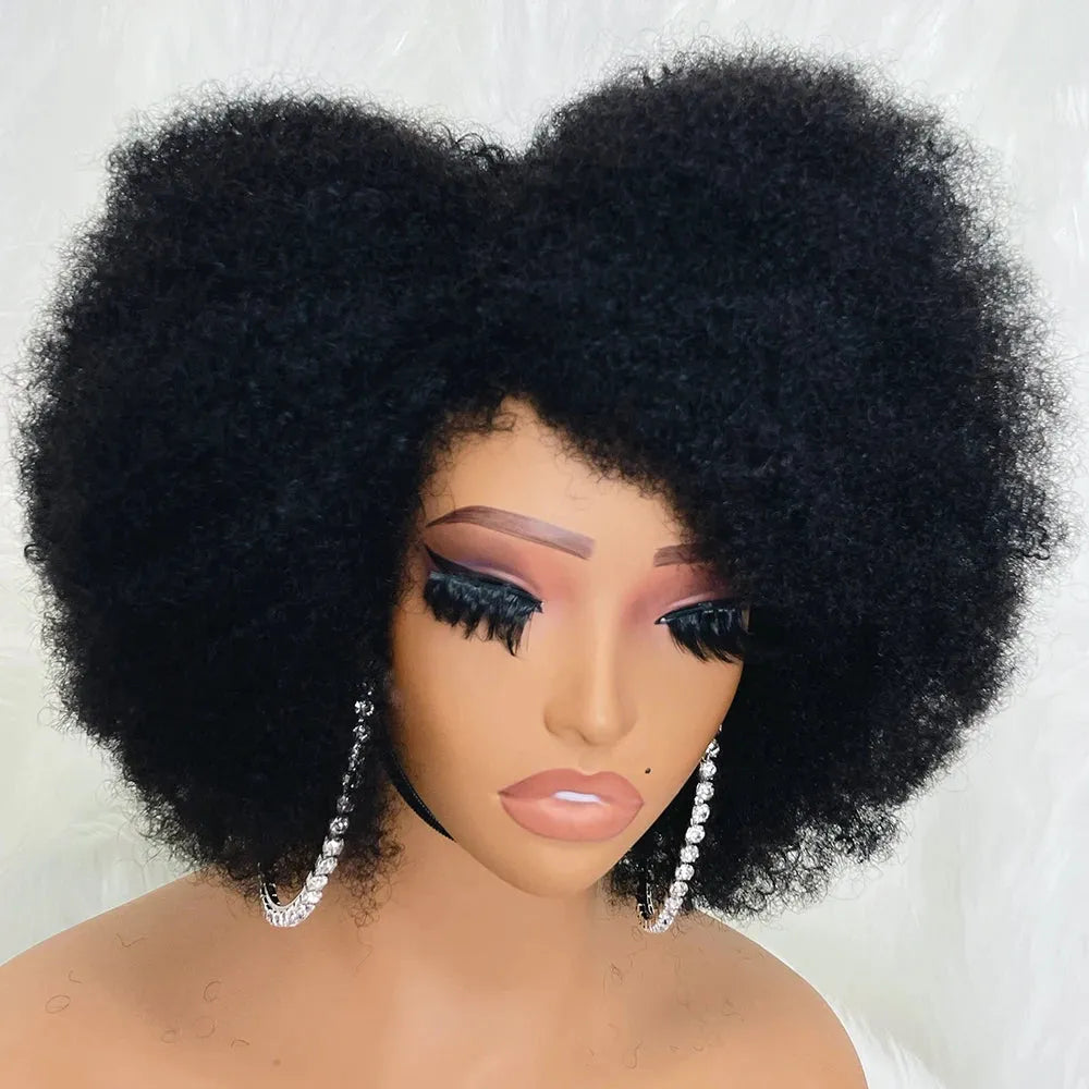 Afro Kinky Curly Short 13x4x2 Glueless HD Lace Front Wig 100% Brazilian Human Hair