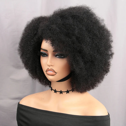 Afro Kinky Curly Short 13x4x2 Glueless HD Lace Front Wig 100% Brazilian Human Hair