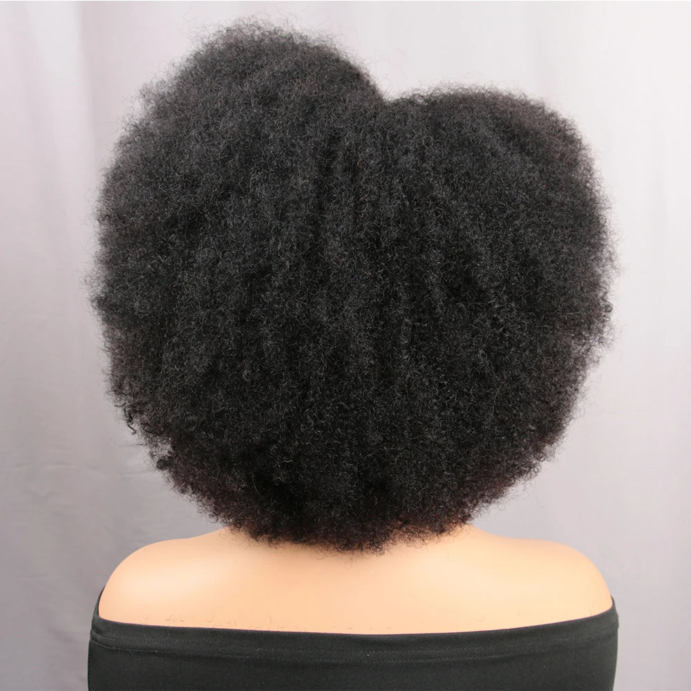 Afro Kinky Curly Short 13x4x2 Glueless HD Lace Front Wig 100% Brazilian Human Hair