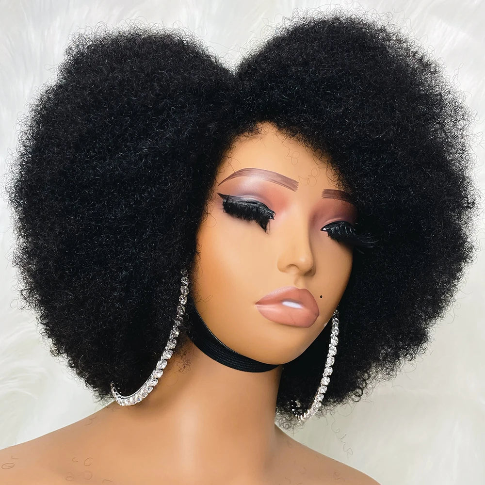 Afro Kinky Curly Short 13x4x2 Glueless HD Lace Front Wig 100% Brazilian Human Hair